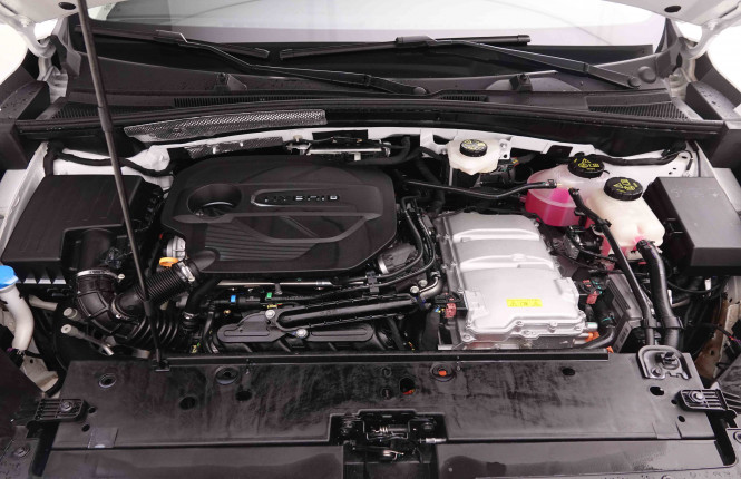 MG_MG_ZS_2652179_23.jpg MG_MG_ZS_2652179_23.jpg