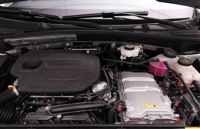 MG_MG_ZS_2652203_21.jpg MG_MG_ZS_2652203_21.jpg