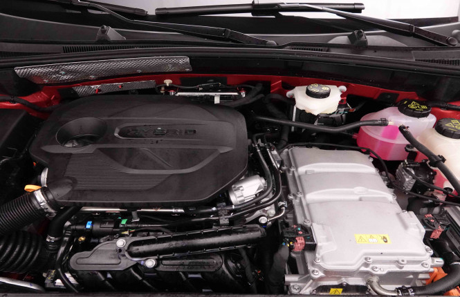 MG_MG_ZS_2652209_21.jpg MG_MG_ZS_2652209_21.jpg