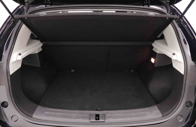 MG_MG_ZS_2652285_5.jpg MG_MG_ZS_2652285_5.jpg