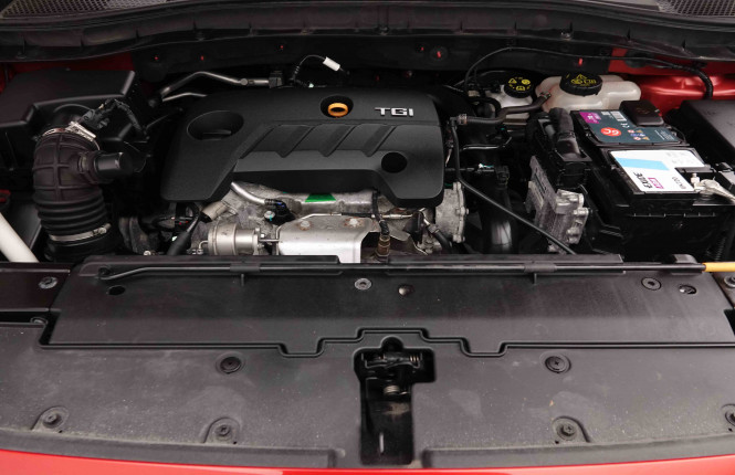 MG_MG_ZS_2652663_17.jpg