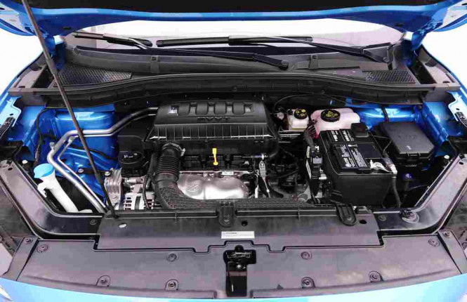 MG_MG_ZS_2654701_23.jpg