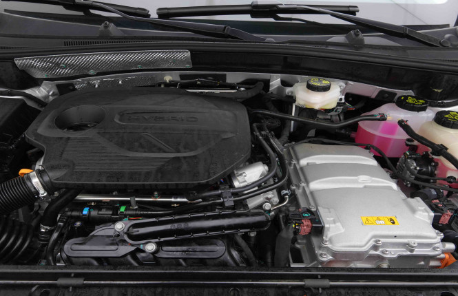 MG_MG_ZS_2654730_20.jpg