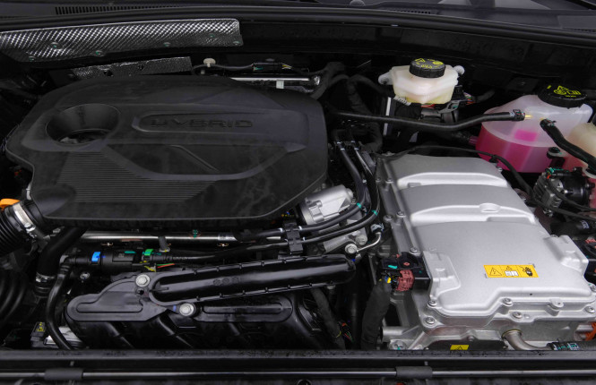 MG_MG_ZS_2654807_19.jpg MG_MG_ZS_2654807_19.jpg