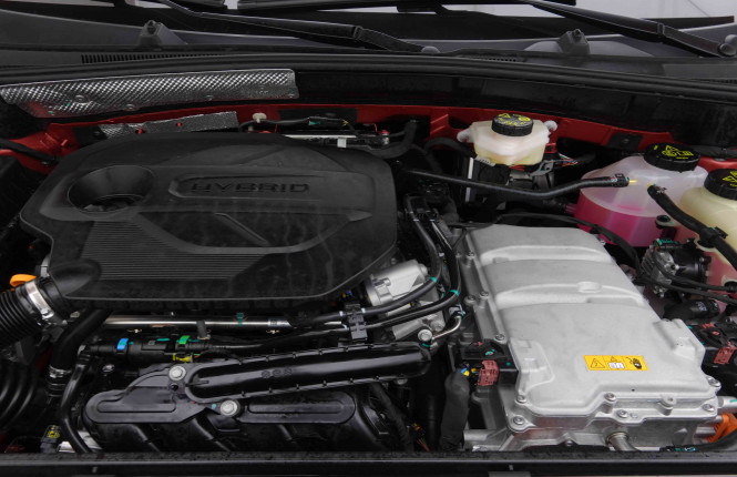 MG_MG_ZS_2654811_20.jpg