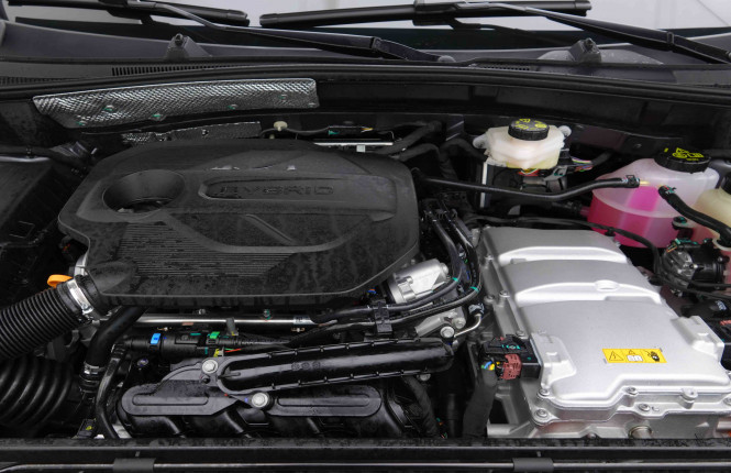 MG_MG_ZS_2654819_19.jpg MG_MG_ZS_2654819_19.jpg