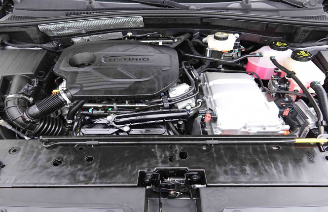 MG_MG_ZS_2654821_22.jpg MG_MG_ZS_2654821_22.jpg