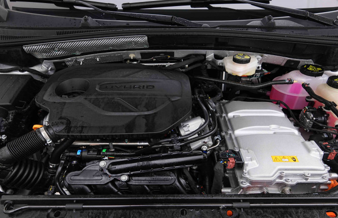 MG_MG_ZS_2654987_18.jpg MG_MG_ZS_2654987_18.jpg