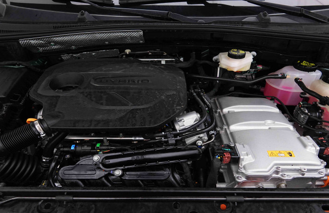 MG_MG_ZS_2654990_18.jpg MG_MG_ZS_2654990_18.jpg