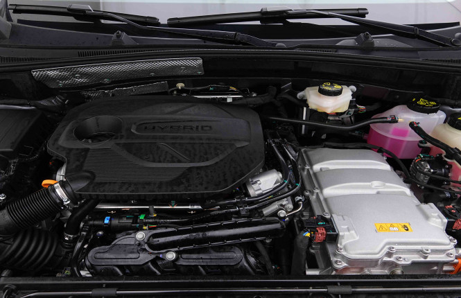 MG_MG_ZS_2654992_18.jpg MG_MG_ZS_2654992_18.jpg