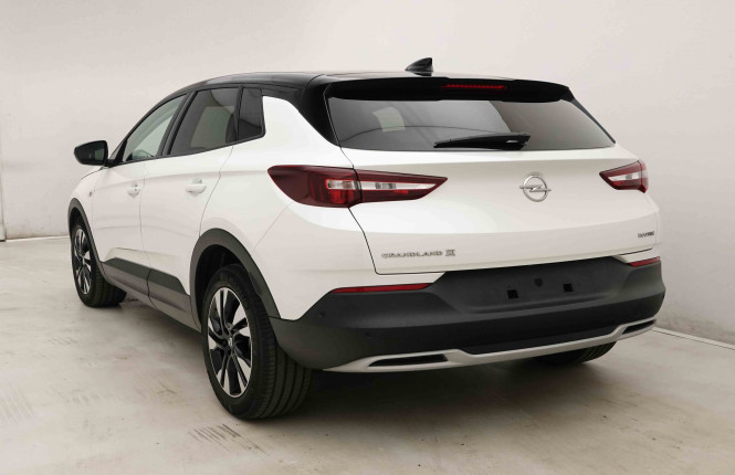 OPEL_OPEL_GRANDLANDX_2654668_28.jpg