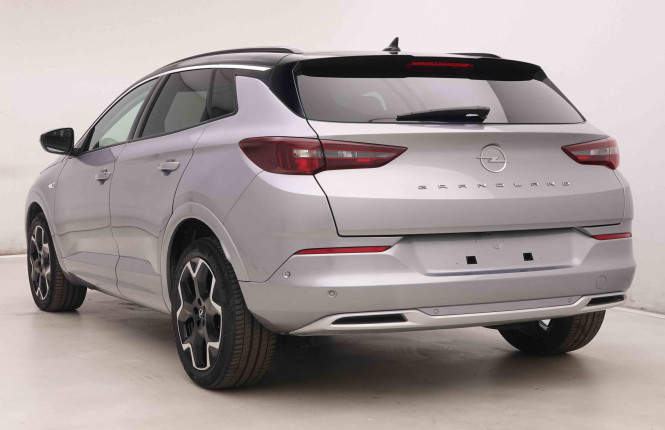 OPEL_OPEL_GRANDLAND_2549368_29.jpg