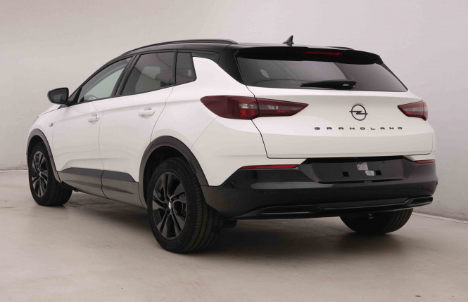 OPEL_OPEL_GRANDLAND_2550722_29.jpg