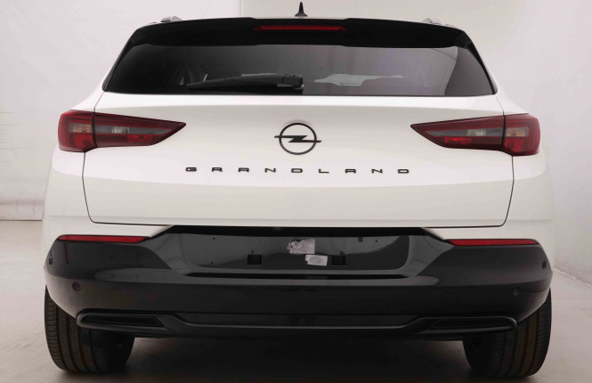 OPEL_OPEL_GRANDLAND_2550722_30.jpg