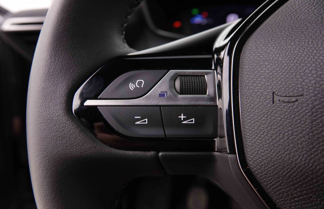 PEUGEOT_PEUGEOT_2008_2548634_19.jpg