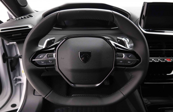 PEUGEOT_PEUGEOT_2008_2652238_62.jpg