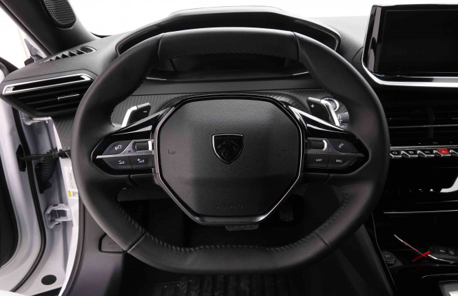 PEUGEOT_PEUGEOT_2008_2652239_38.jpg