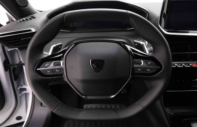 PEUGEOT_PEUGEOT_2008_2652242_62.jpg
