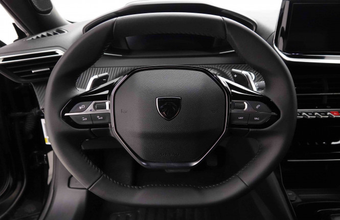 PEUGEOT_PEUGEOT_2008_2652251_8.jpg