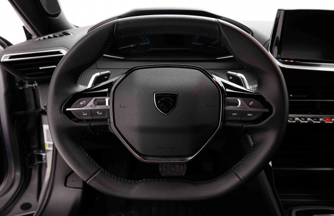 PEUGEOT_PEUGEOT_2008_2653086_8.jpg