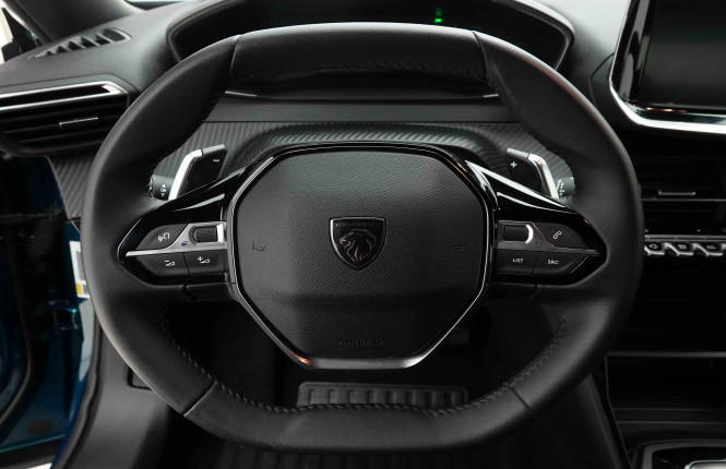 PEUGEOT_PEUGEOT_2008_2653087_8.jpg