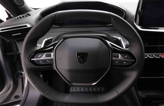 PEUGEOT_PEUGEOT_2008_2653121_8.jpg