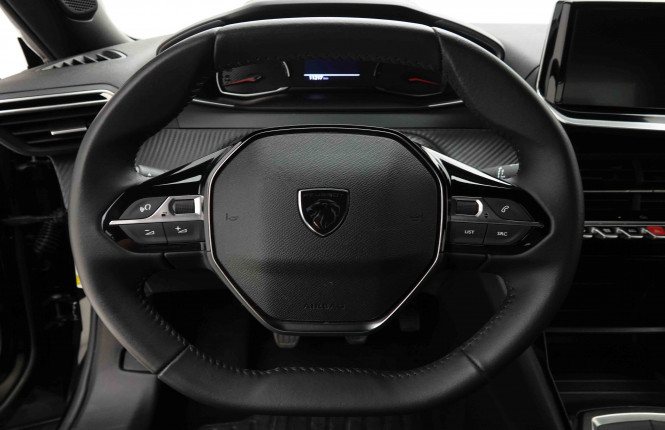 PEUGEOT_PEUGEOT_2008_2653819_8.jpg