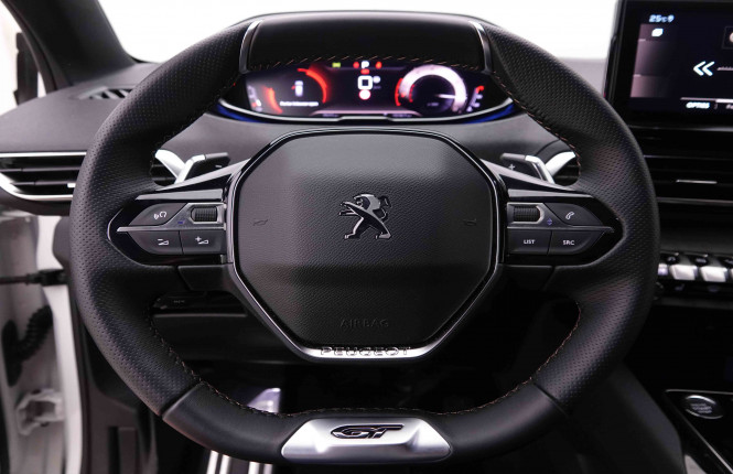 PEUGEOT_PEUGEOT_3008_2548365_8.jpg