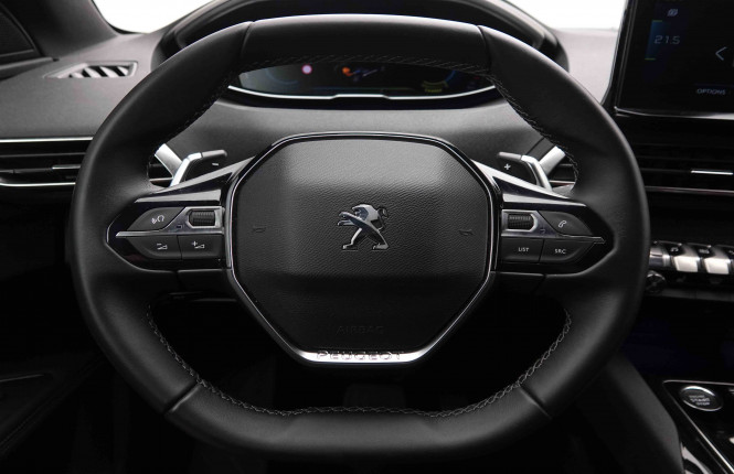 PEUGEOT_PEUGEOT_3008_2549459_8.jpg