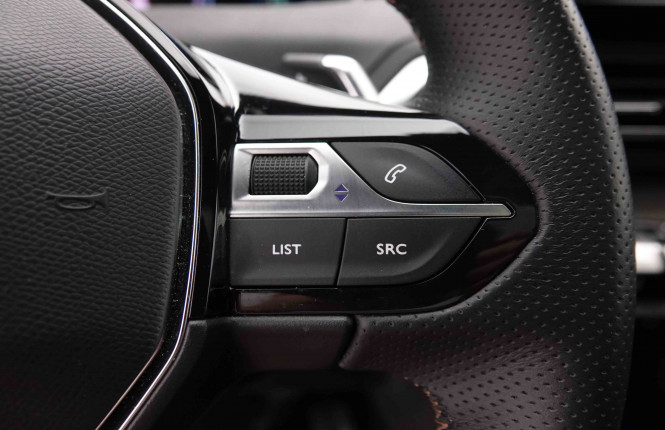 PEUGEOT_PEUGEOT_3008_2549462_21.jpg