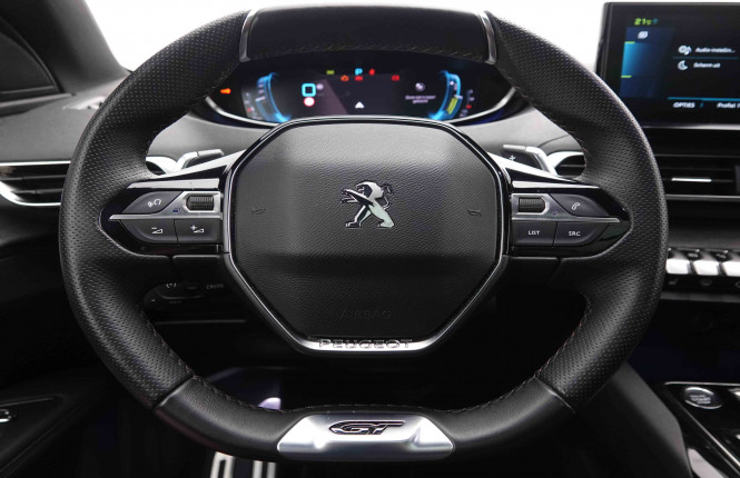 PEUGEOT_PEUGEOT_3008_2549464_10.jpg