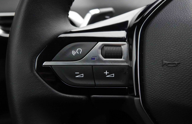 PEUGEOT_PEUGEOT_3008_2551811_17.jpg
