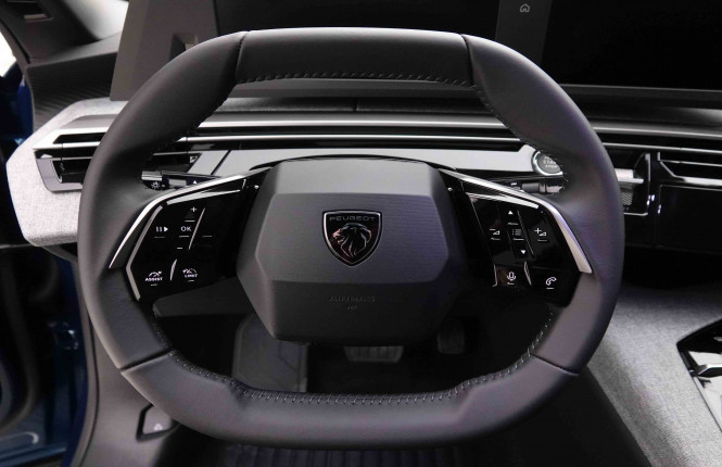 PEUGEOT_PEUGEOT_3008_2652129_8.jpg