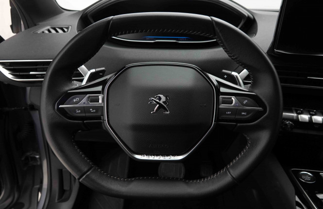 PEUGEOT_PEUGEOT_3008_2653112_8.jpg