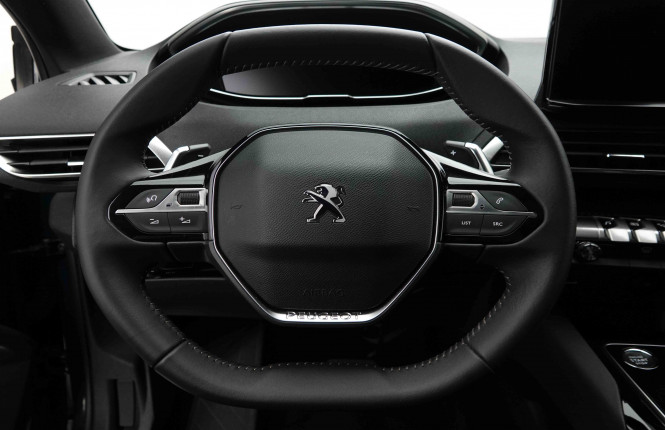 PEUGEOT_PEUGEOT_3008_2654228_9.jpg