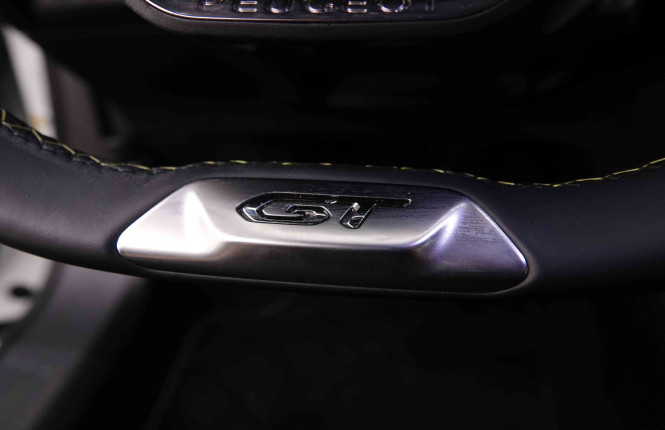 PEUGEOT_PEUGEOT_E_2008_2548188_22.jpg