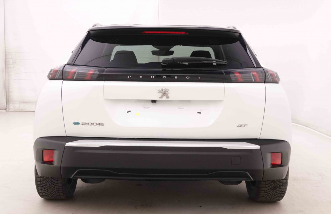 PEUGEOT_PEUGEOT_E_2008_2548188_30.jpg