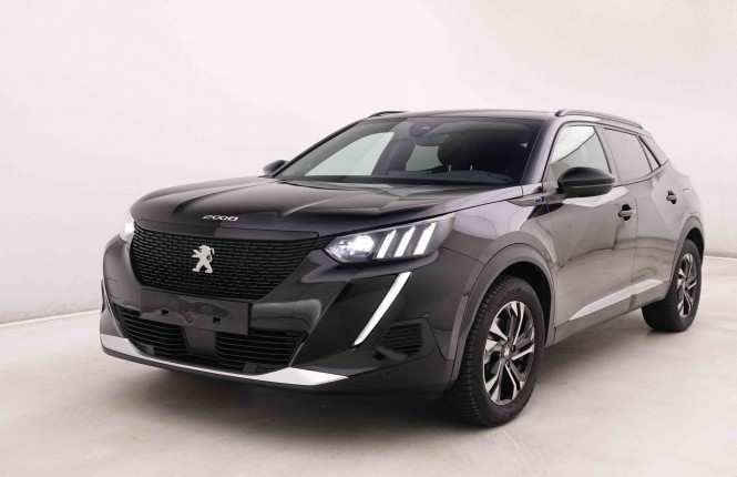 PEUGEOT_PEUGEOT_E_2008_2548404_24.jpg