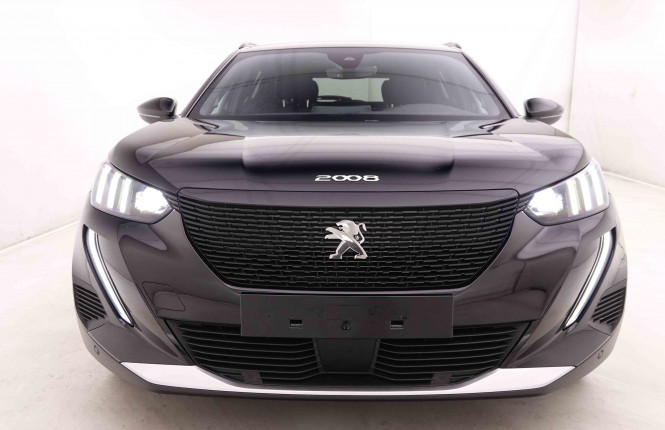 PEUGEOT_PEUGEOT_E_2008_2548404_25.jpg
