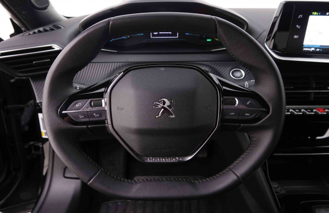 PEUGEOT_PEUGEOT_E_2008_2548606_8.jpg
