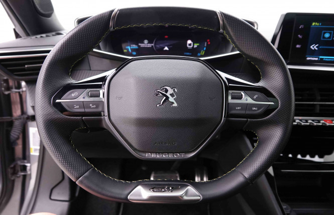 PEUGEOT_PEUGEOT_E_2008_2549024_9.jpg