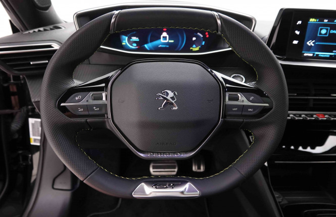 PEUGEOT_PEUGEOT_E_2008_2549025_10.jpg