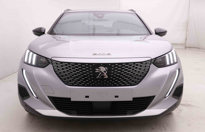 PEUGEOT_PEUGEOT_E_2008_2549029_25.jpg