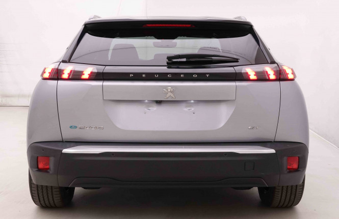 PEUGEOT_PEUGEOT_E_2008_2549029_28.jpg