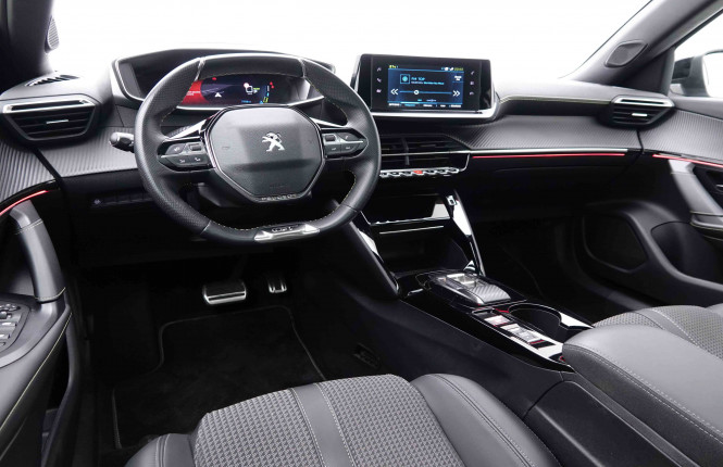 PEUGEOT_PEUGEOT_E_2008_2549029_7.jpg