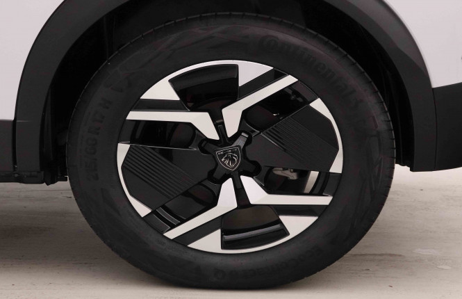 PEUGEOT_PEUGEOT_E_2008_2652306_21.jpg