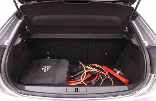 PEUGEOT_PEUGEOT_E_208_2550759_5.jpg