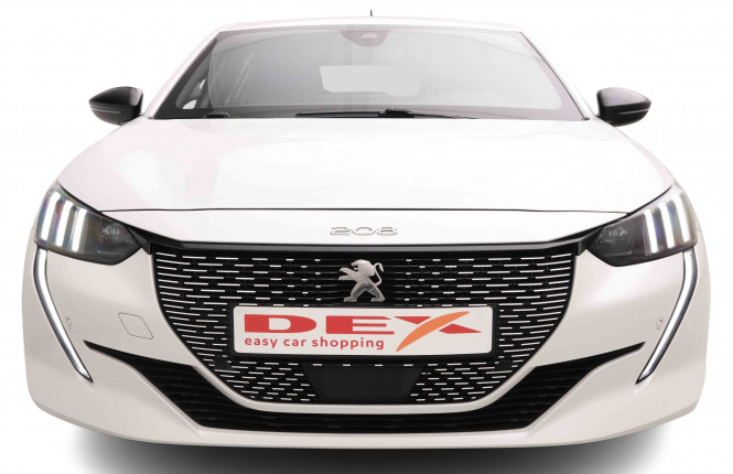 PEUGEOT_PEUGEOT_E_208_2652516_55.jpg