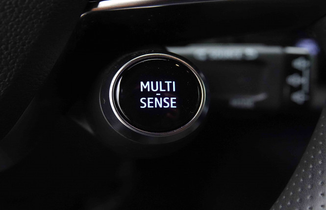 RENAULT_RENAULT_AUSTRAL_2654560_21.jpg