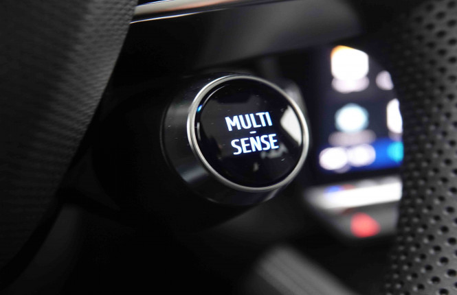 RENAULT_RENAULT_ESPACE_2550599_26.jpg